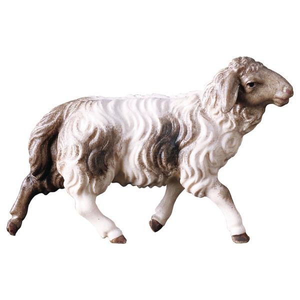 UP780154 - SH Running sheep blotched
