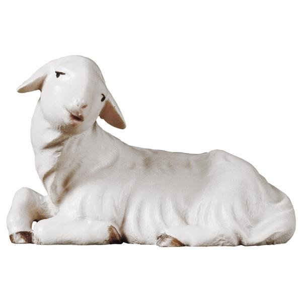 UP800136 - SA Lying lamb