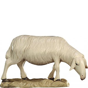 20DA150016024 - Sheep grazing