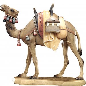 20DA150020018 - Camel