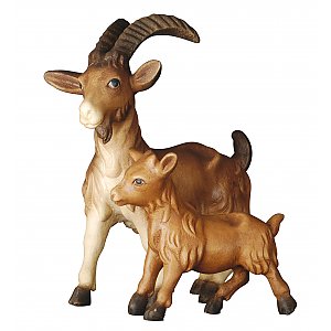20DA155023012 - Goat with kid