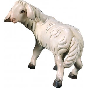 20DA161043 - Sheep 2000