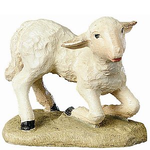 BH2042Natur13 - Sheep kneeling