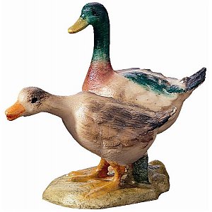 BH2055Color20 - Goose group