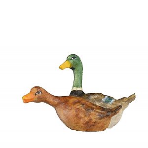 BH2055SColor13 - goose group swimming