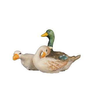 BH2056SColor13 - goose group 3 swimming