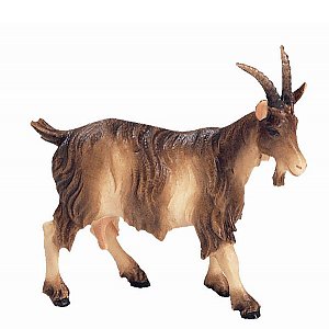 BH5034Natur23 - Goat