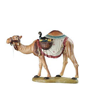 BH5070Natur23 - Camel