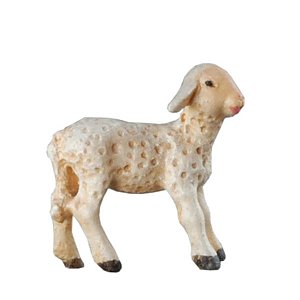BH5093Natur23 - Lamb