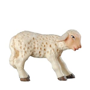 BH5094Color15 - Lamb