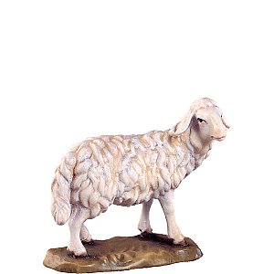 DU4041Natur15 - Sheep standing B.K.