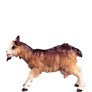 DU4074Natur15 - Nanny goat B.K.