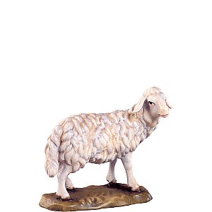DU4141Lasiert14 - Sheep standing D.K.