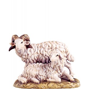 DU4149Natur10 - Ram with sheep D.K.