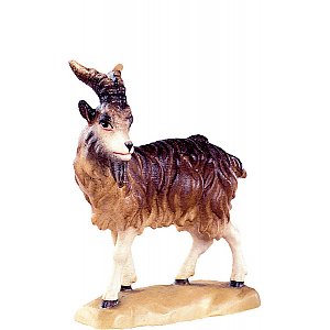 DU4171Natur27 - Billy goat D.K.