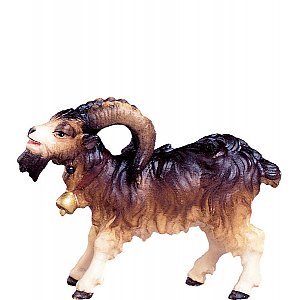 DU4173Natur16 - Billy goat D.K.