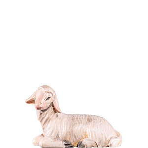 DU4253Lasiert24 - Sheep lying T.K.