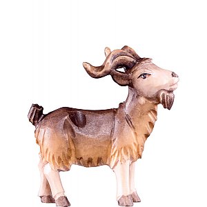 DU4273Natur24 - Billy goat T.K.