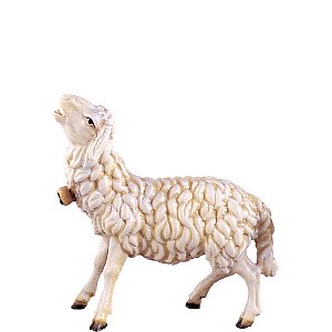 DU4356Lasiert15 - Sheep bleating H.K.
