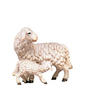 DU4358Natur11 - Sheep with lamb H.K.