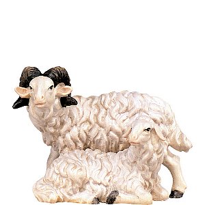 DU4359Lasiert42 - Ram with sheep H.K.