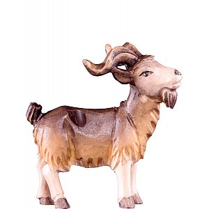 DU4473Natur15 - Billy goat R.K.