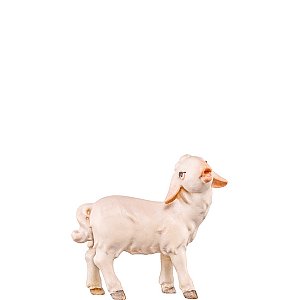 DU4562Lasiert20 - Lamb standing Artis