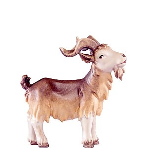 DU4573Natur12 - Billy goat Artis