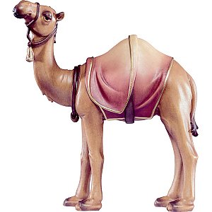 DU4595Lasiert10 - Camel Artis