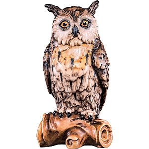 DU6003 - Owl on bough