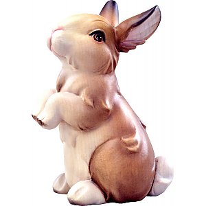 DU6034B - Bunny standing brown