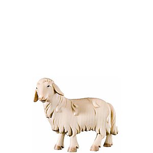 FL424441Natur11 - N-Sheep looking