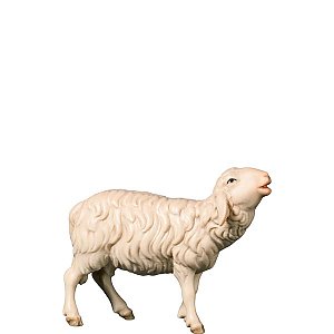 FL425490Zwei0geb10 - A-Bleating sheep