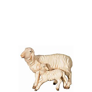 FL426435Zwei0geb10 - O-Sheep & lamb standing