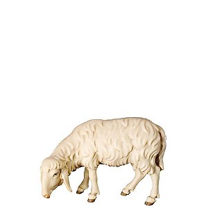 FL426493Zwei0geb10 - O-Sheep grazing left