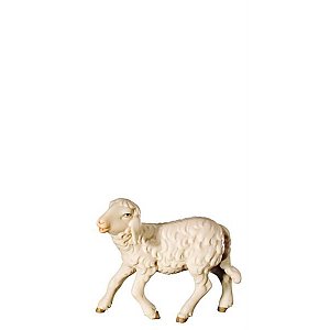 FL426494Zwei0geb12 - O-Young sheep