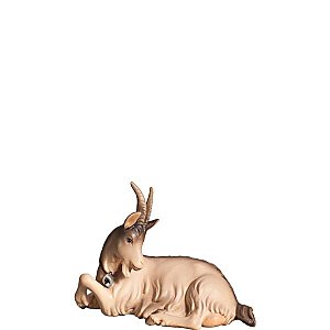 FL427446Natur10 - H-Goat lying down