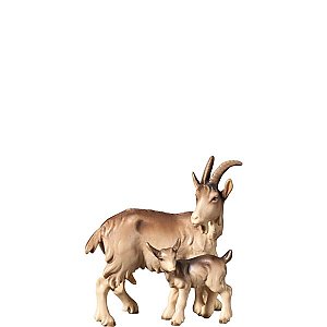 FL427449Natur12,5 - H-Goat with kid