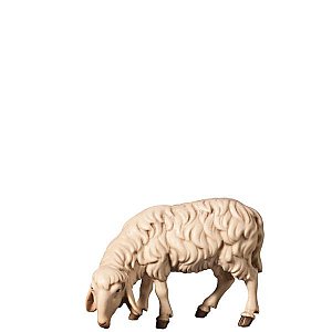 FL427493Zwei0geb14 - H-Sheep grazing left