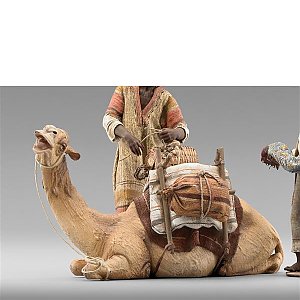 HD234122Bcolor40 - Dromedary lying for Bedouin