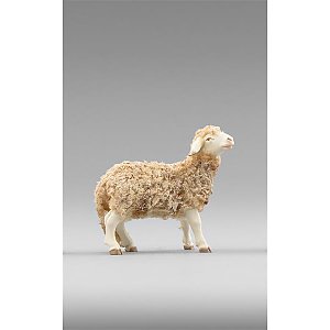 HD236102color10 - Sheep