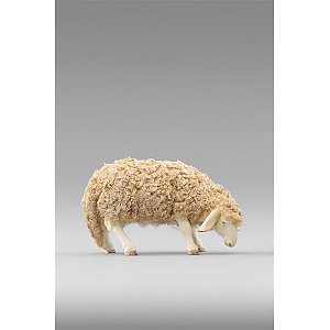 HD236103color14 - Sheep