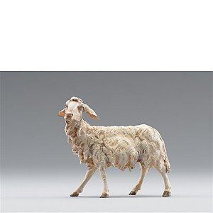 HD236120color10 - Sheep