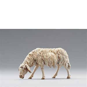 HD236122color10 - Sheep