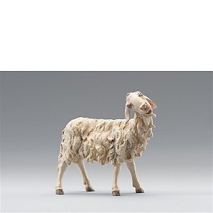 HD236123color10 - Sheep
