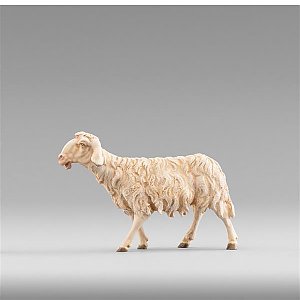 HD236124color10 - Sheep walking