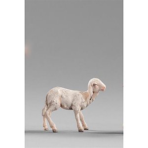 HD236126color12 - Lamb