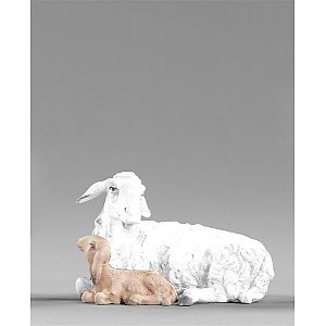 HD236127color10 - Lamb lying