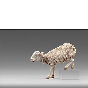 HD236129color10 - Sheep for step