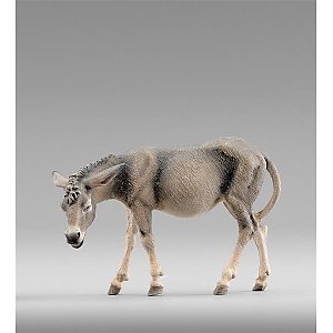 HD236305color14 - Donkey standing left